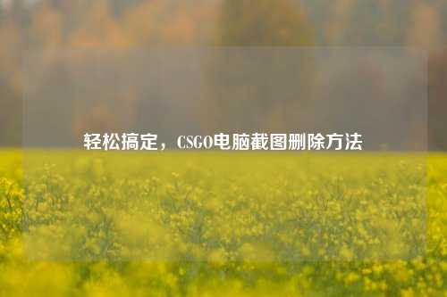 轻松搞定，CSGO电脑截图删除 *** 