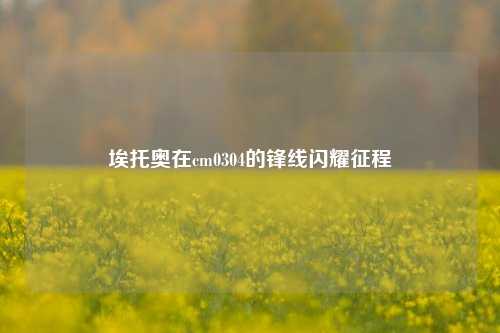 埃托奥在cm0304的锋线闪耀征程