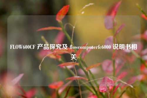 FLOW600CF 产品探究及 flowcomputerfc6000 说明书相关