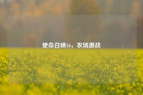 使命召唤16，农场激战