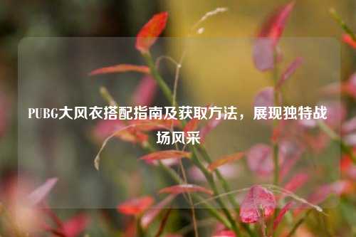 PUBG大风衣搭配指南及获取 *** ，展现独特战场风采