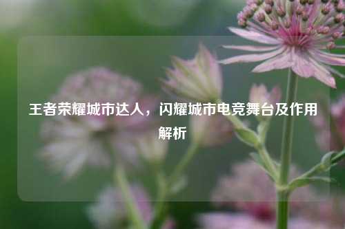 王者荣耀城市达人，闪耀城市电竞舞台及作用解析