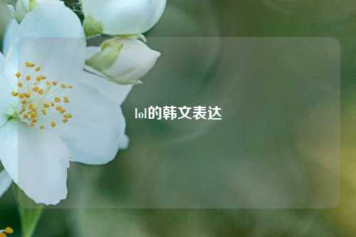 lol的韩文表达