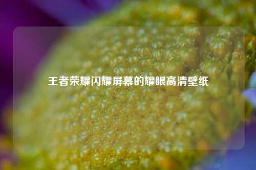 王者荣耀闪耀屏幕的耀眼高清壁纸