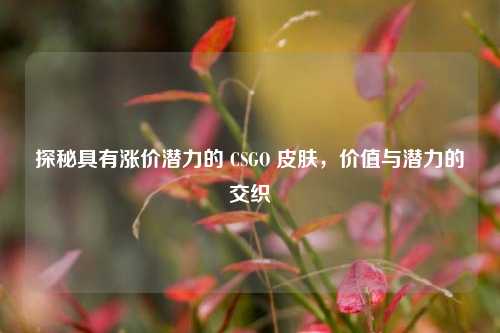 探秘具有涨价潜力的 CSGO 皮肤，价值与潜力的交织