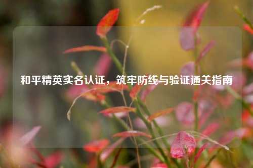 和平精英实名认证，筑牢防线与验证通关指南