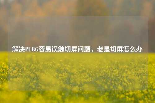 解决PUBG容易误触切屏问题，老是切屏怎么办