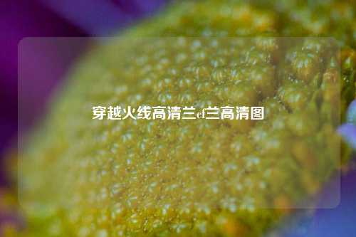 穿越火线高清兰cf兰高清图