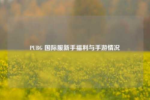 PUBG 国际服新手福利与手游情况