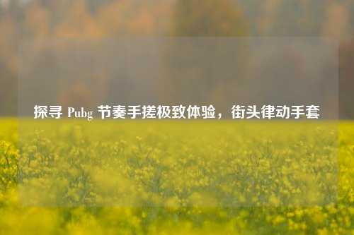 探寻 Pubg 节奏手搓极致体验，街头律动手套