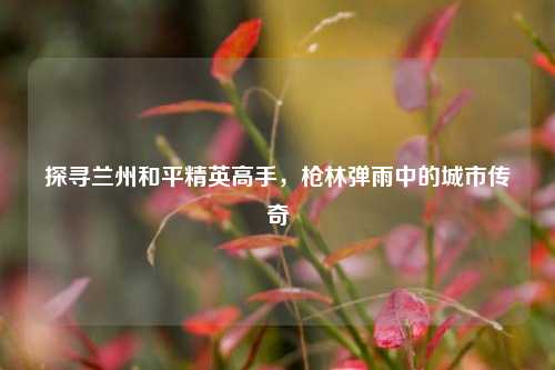 探寻兰州和平精英高手,枪林弹雨中的城市传奇