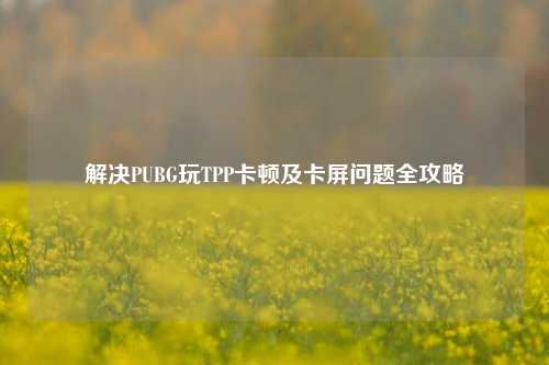 解决PUBG玩TPP卡顿及卡屏问题全攻略