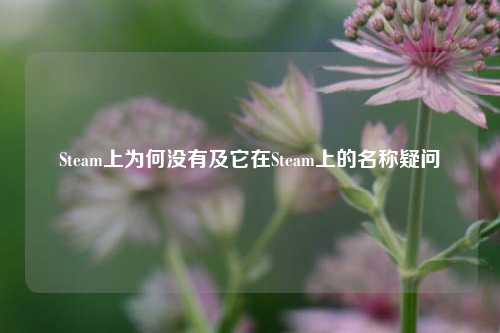 Steam上为何没有及它在Steam上的名称疑问