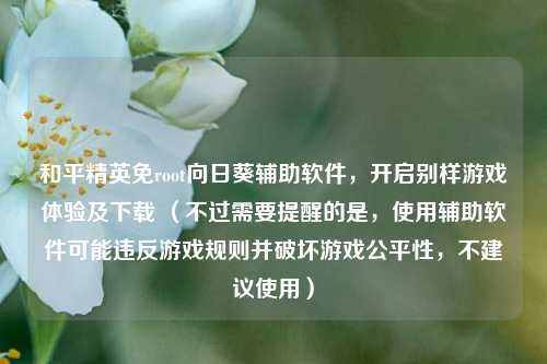 和平精英免root向日葵辅助软件，开启别样游戏体验及下载 （不过需要提醒的是，使用辅助软件可能违反游戏规则并破坏游戏公平性，不建议使用）