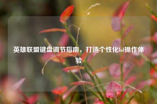 英雄联盟键盘调节指南,打造个性化lol操作体验