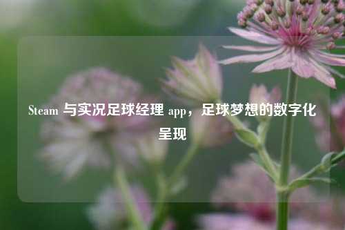 Steam 与实况足球经理 app，足球梦想的数字化呈现