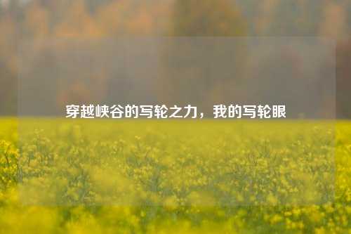 穿越峡谷的写轮之力，我的写轮眼