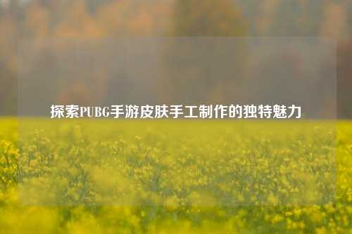 探索PUBG手游皮肤手工 *** 的独特魅力