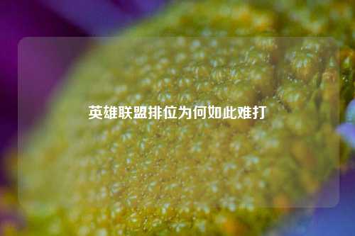 英雄联盟排位为何如此难打