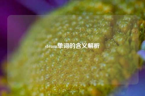 steam单词的含义解析
