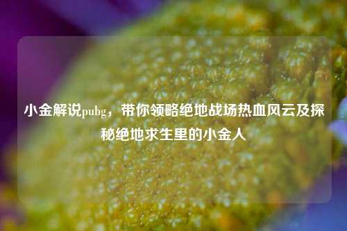 小金解说pubg，带你领略绝地战场热血风云及探秘绝地求生里的小金人