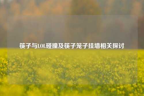 筷子与LOL碰撞及筷子笼子挂墙相关探讨