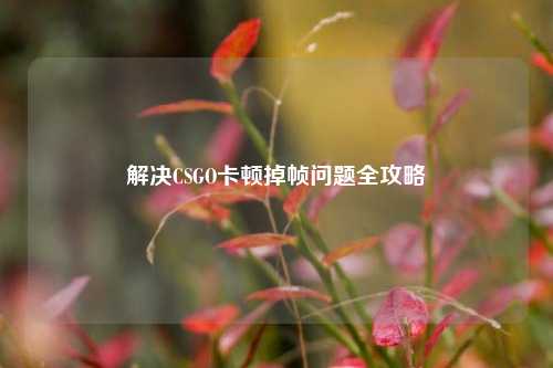 解决CSGO卡顿掉帧问题全攻略