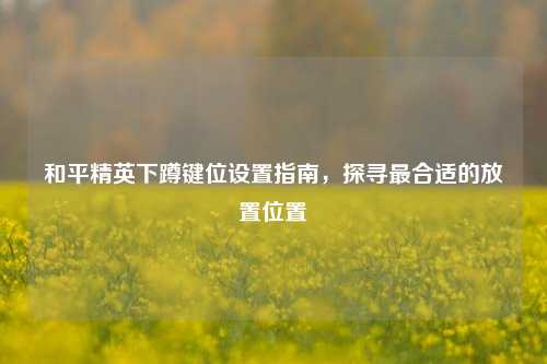 和平精英下蹲键位设置指南，探寻最合适的放置位置