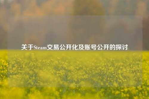 关于Steam交易公开化及账号公开的探讨