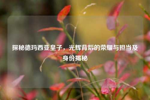 探秘德玛西亚皇子，光辉背后的荣耀与担当及身份揭秘