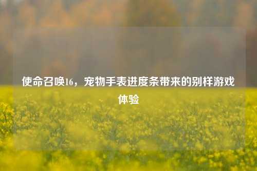 使命召唤16，宠物手表进度条带来的别样游戏体验
