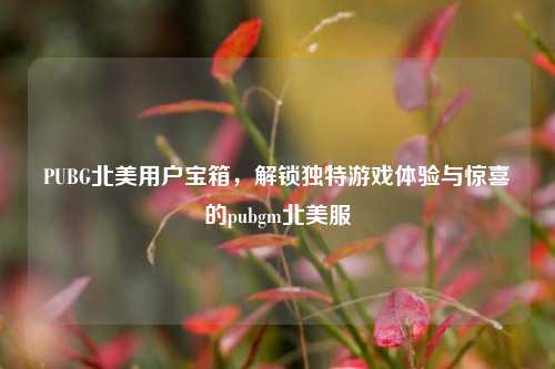PUBG北美用户宝箱，解锁独特游戏体验与惊喜的pubgm北美服