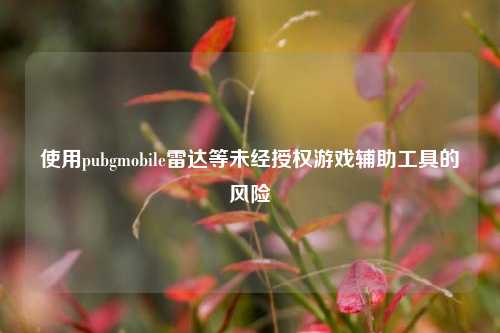 使用pubgmobile雷达等未经授权游戏辅助工具的风险