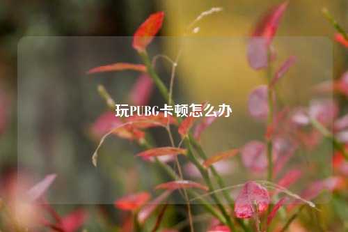 玩PUBG卡顿怎么办