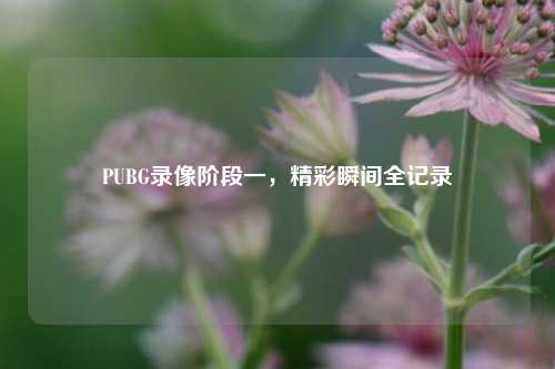 PUBG录像阶段一，精彩瞬间全记录