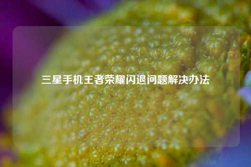 三星手机王者荣耀闪退问题解决办法