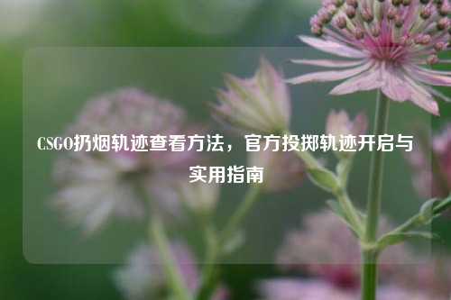 CSGO扔烟轨迹查看 *** ，官方投掷轨迹开启与实用指南