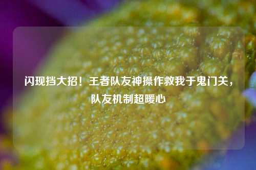 闪现挡大招！王者队友神操作救我于鬼门关，队友机制超暖心