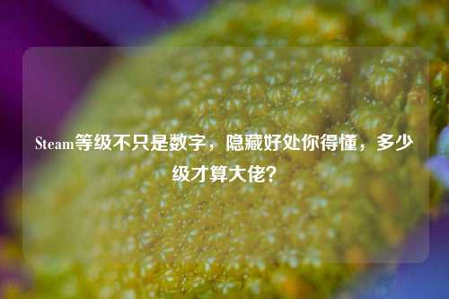 Steam等级不只是数字，隐藏好处你得懂，多少级才算大佬？