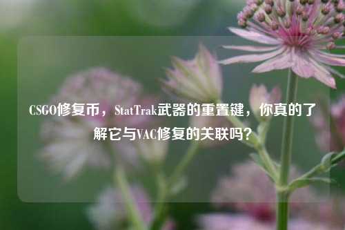 CSGO修复币，StatTrak武器的重置键，你真的了解它与VAC修复的关联吗？