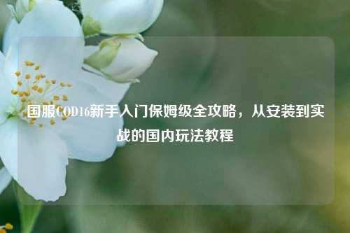 国服COD16新手入门保姆级全攻略，从安装到实战的国内玩法教程
