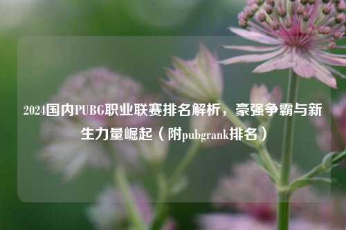 2024国内PUBG职业联赛排名解析，豪强争霸与新生力量崛起（附pubgrank排名）