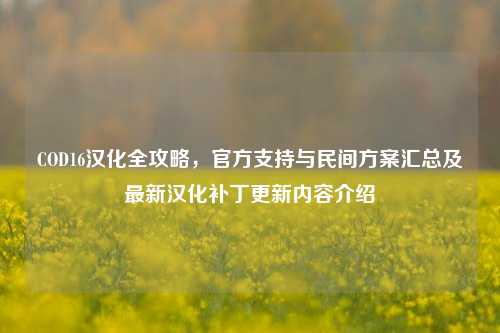 COD16汉化全攻略，官方支持与民间方案汇总及最新汉化补丁更新内容介绍