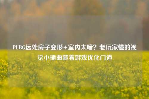 PUBG远处房子变形+室内太暗？老玩家懂的视觉小插曲藏着游戏优化门道