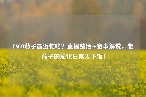 CSGO茄子最近忙啥？直播整活+赛事解说，老茄子的茄化日常太下饭！