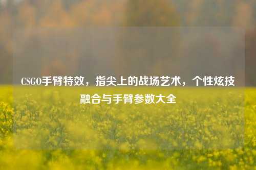 CSGO手臂特效，指尖上的战场艺术，个性炫技融合与手臂参数大全
