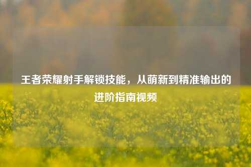王者荣耀射手解锁技能，从萌新到精准输出的进阶指南视频