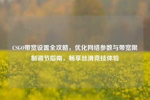 CSGO带宽设置全攻略，优化 *** 参数与带宽限制调节指南，畅享丝滑竞技体验