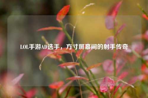 LOL手游AD选手，方寸屏幕间的射手传奇