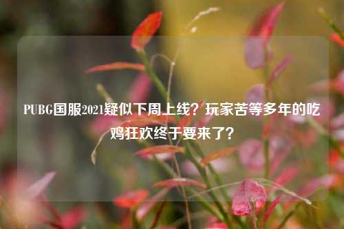 PUBG国服2021疑似下周上线？玩家苦等多年的吃鸡狂欢终于要来了？